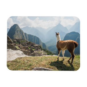 Magnet Flexible Llama surplombant les ruines   Machu Picchu, Péro