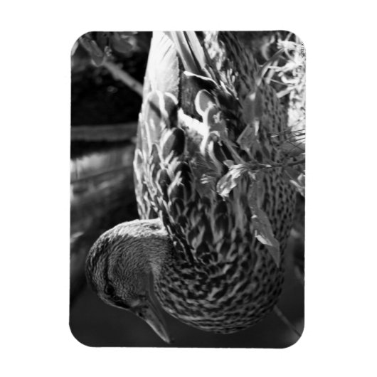 Magnet Flexible L'observateur (Vertical)