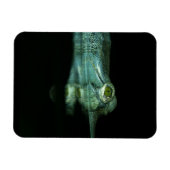 Magnet Flexible L'Oeil Du Gharial (Horizontal)