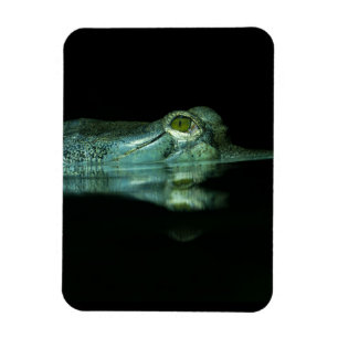 Magnet Flexible L'Oeil Du Gharial