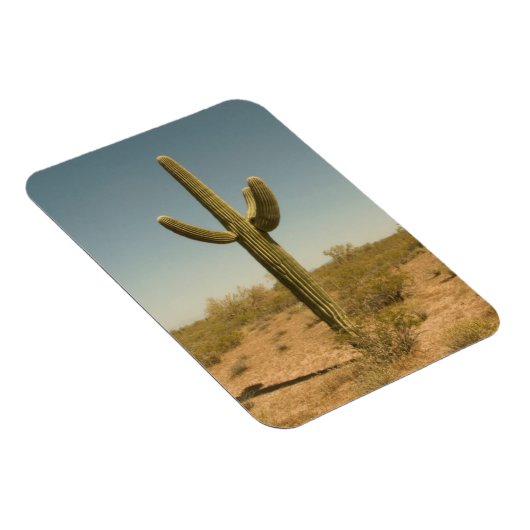 Magnet Flexible Lone Cactus (Côté Droit)