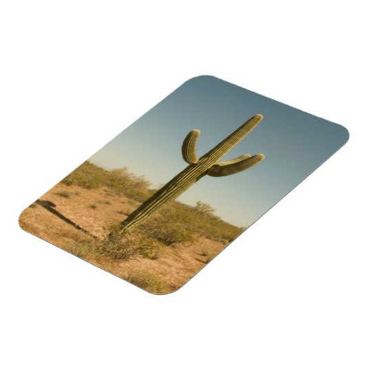 Magnet Flexible Lone Cactus (Côté Gauche)