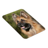 Magnet Flexible Long berger allemand Haired 1 (Côté Droit)