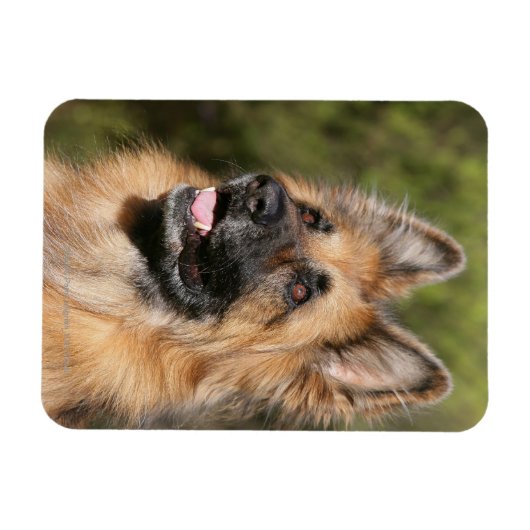 Magnet Flexible Long berger allemand Haired 1 (Horizontal)