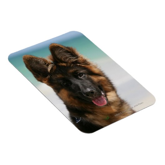 Magnet Flexible Long Haired German Shepherd Beach (Côté Droit)