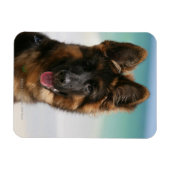 Magnet Flexible Long Haired German Shepherd Beach (Horizontal)