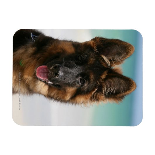 Magnet Flexible Long Haired German Shepherd Beach (Horizontal)