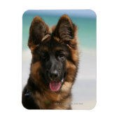 Magnet Flexible Long Haired German Shepherd Beach (Vertical)