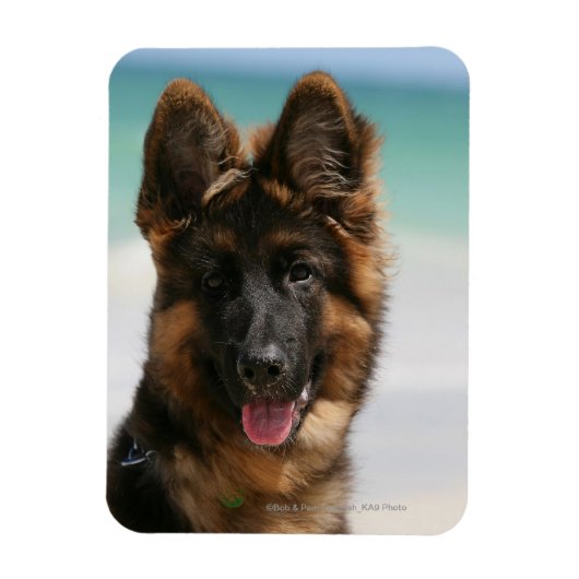 Magnet Flexible Long Haired German Shepherd Beach (Vertical)