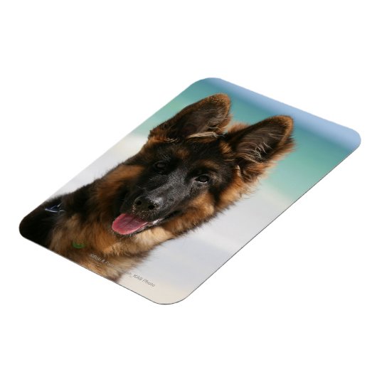 Magnet Flexible Long Haired German Shepherd Beach (Côté Gauche)