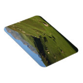 Magnet Flexible Longwall, Giant's Castle, monts du Drakensberg, (Côté Droit)