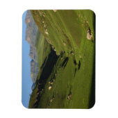 Magnet Flexible Longwall, Giant's Castle, monts du Drakensberg, (Vertical)