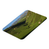 Magnet Flexible Longwall, Giant's Castle, monts du Drakensberg, (Côté Gauche)