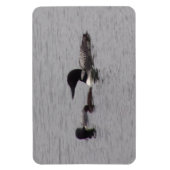 Magnet Flexible Loon Family sur le lac Aimant flexible (Vertical)