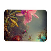 Magnet Flexible L'orchidée de Cattleya et trois colibris Heade (Horizontal)