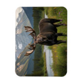 Magnet Flexible L'orignal dans le parc national Banff Canada (Vertical)