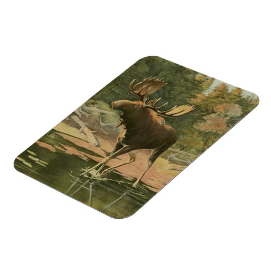 Magnet Flexible L'orignal marche dans l'eau (Côté Gauche)