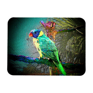 Magnet Flexible Lorikeet Bird Magnet-Design 2