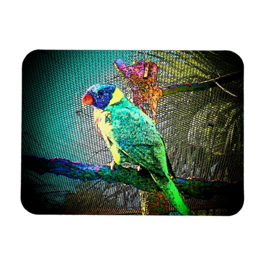 Magnet Flexible Lorikeet Bird Magnet-Design 2 (Horizontal)
