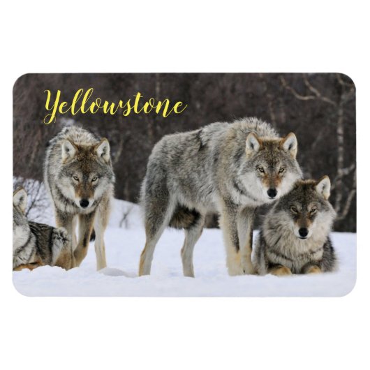 Magnet Flexible Loup de Magnet-Yellowstone (Horizontal)