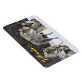 Magnet Flexible Loup de Magnet-Yellowstone (Côté Droit)