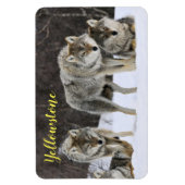 Magnet Flexible Loup de Magnet-Yellowstone (Vertical)