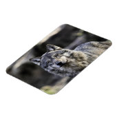 Magnet Flexible Loup gris (Côté Gauche)