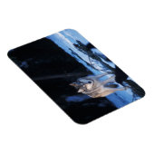 Magnet Flexible loup gris, Canis lupus, dans les contreforts (Côté Droit)