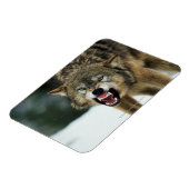 Magnet Flexible Loup gris narling (Côté Gauche)