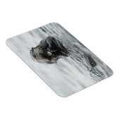 Magnet Flexible Loupe de mer adorable (Côté Droit)