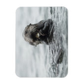Magnet Flexible Loupe de mer adorable (Vertical)