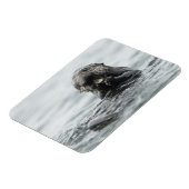 Magnet Flexible Loupe de mer adorable (Côté Gauche)
