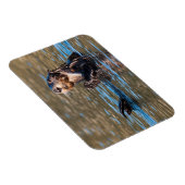 Magnet Flexible Loupe de mer ensoleillée (Côté Droit)