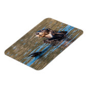 Magnet Flexible Loupe de mer ensoleillée (Côté Gauche)