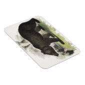 Magnet Flexible L'ours Brown, pub d'illustration pédagogique. par (Côté Droit)