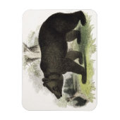 Magnet Flexible L'ours Brown, pub d'illustration pédagogique. par (Vertical)