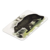 Magnet Flexible L'ours Brown, pub d'illustration pédagogique. par (Côté Gauche)