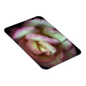 Magnet Flexible <Love is a Rose>par Nathan Griffith (Côté Droit)