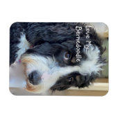 Magnet Flexible Love My Bernedoodle (Horizontal)