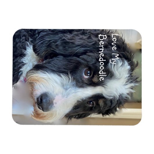 Magnet Flexible Love My Bernedoodle (Horizontal)