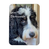 Magnet Flexible Love My Bernedoodle (Vertical)
