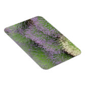 Magnet Flexible Lovely Lavender (Côté Droit)