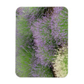 Magnet Flexible Lovely Lavender (Vertical)
