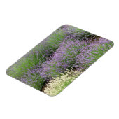 Magnet Flexible Lovely Lavender (Côté Gauche)