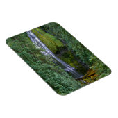 Magnet Flexible Lower Proxy Falls | Forêt nationale de Willamette (Côté Droit)