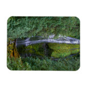 Magnet Flexible Lower Proxy Falls | Forêt nationale de Willamette (Horizontal)