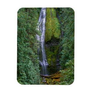 Magnet Flexible Lower Proxy Falls Forêt nationale de Willamette