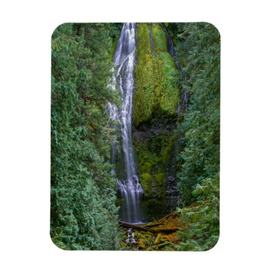 Magnet Flexible Lower Proxy Falls | Forêt nationale de Willamette (Vertical)