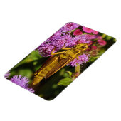 Magnet Flexible Lucky Grasshopper sur Ageratum (Côté Gauche)