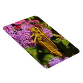 Magnet Flexible Lucky Grasshopper sur Ageratum (Côté Droit)